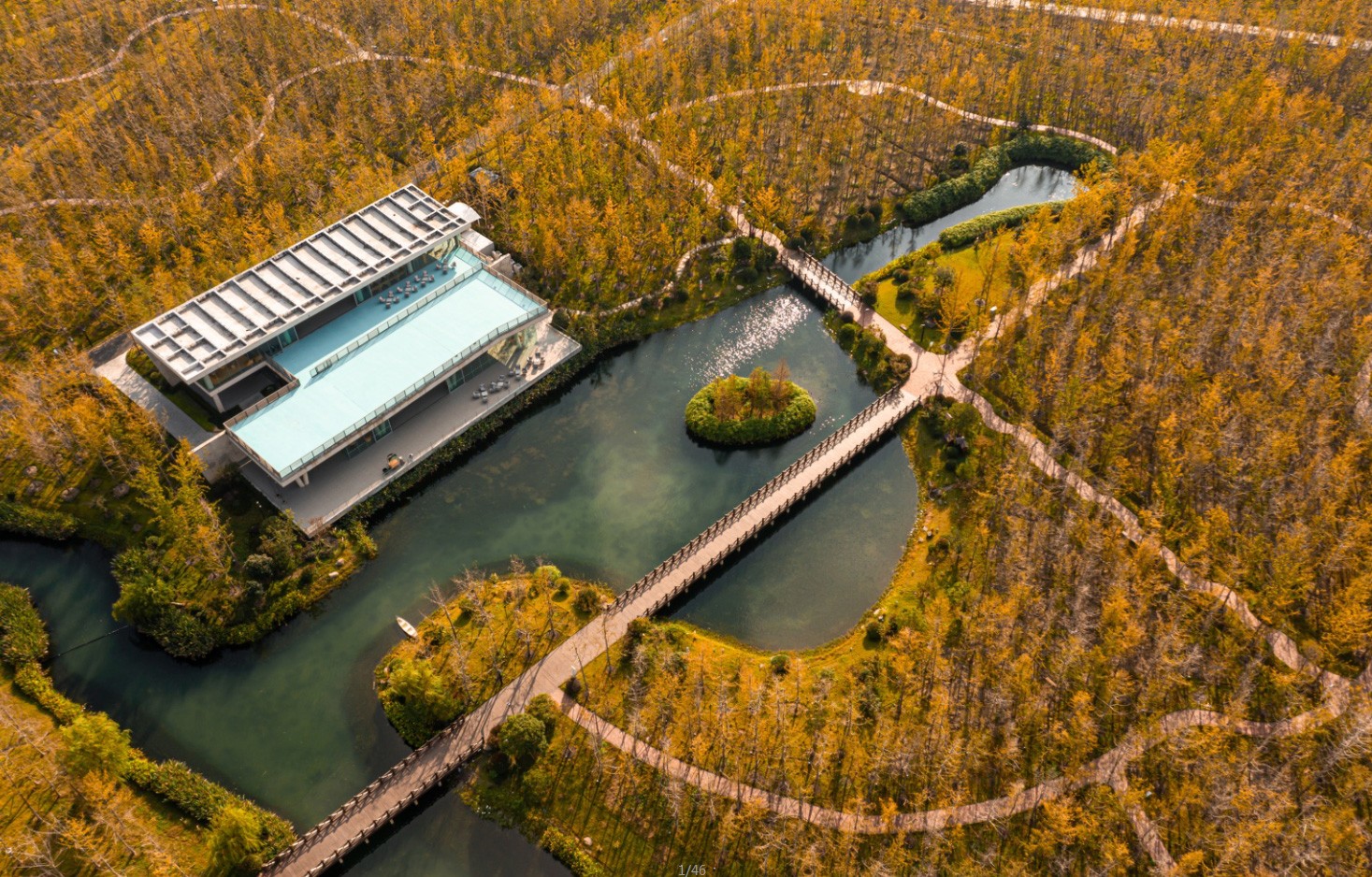 银杏咖啡馆 配图1.jpg