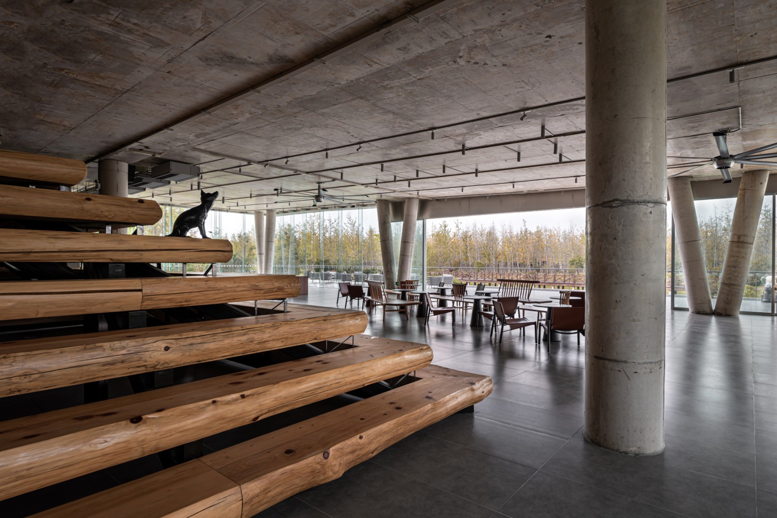 银杏咖啡馆 配图3.jpg