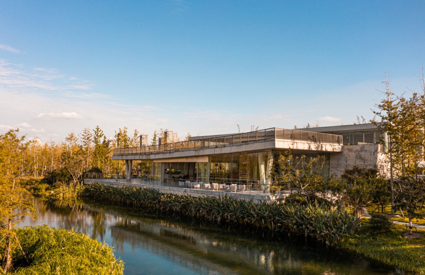 银杏咖啡馆 配图2.jpg