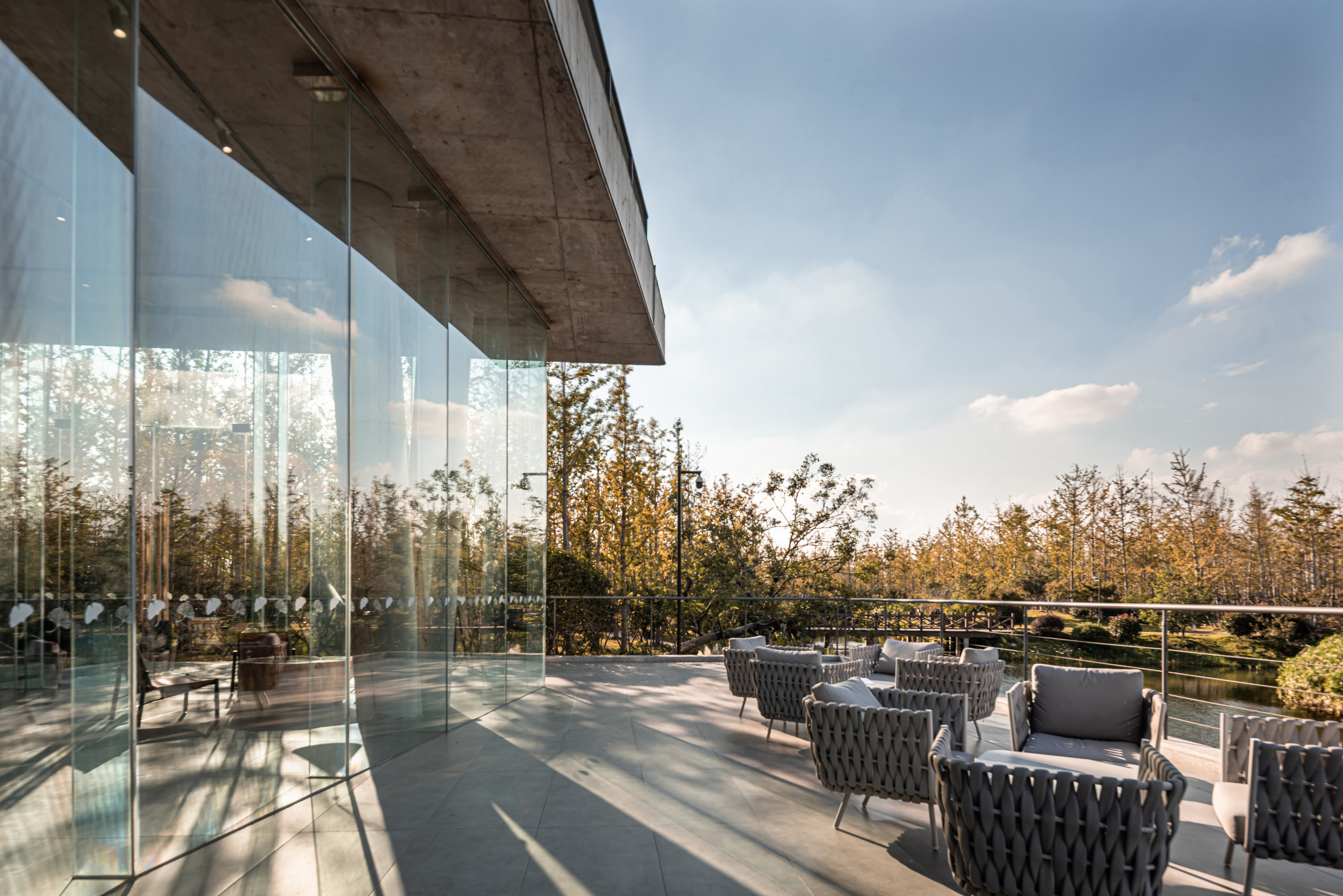 银杏咖啡馆 配图4.jpg