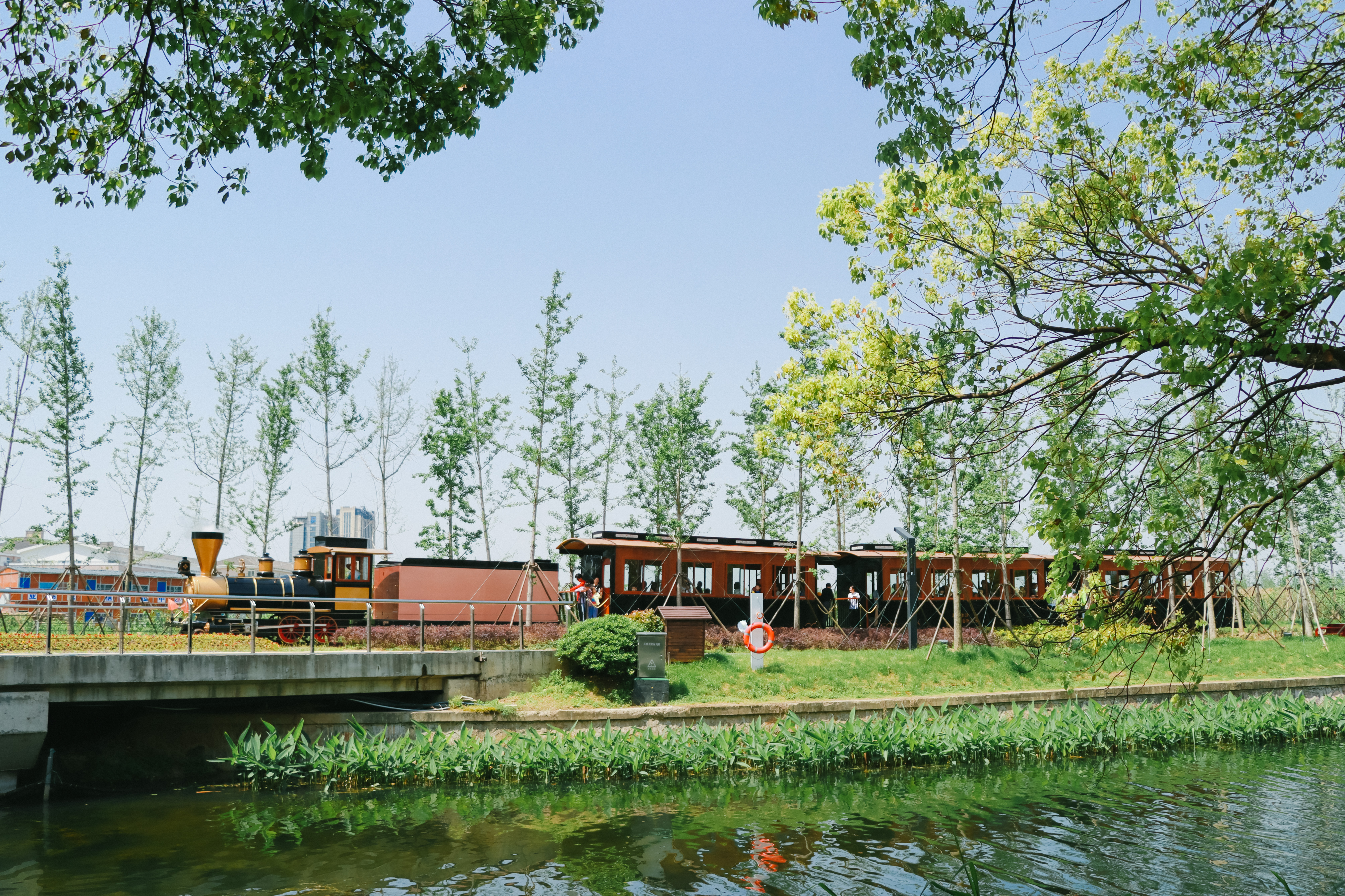 2021-05-01 103016.jpg